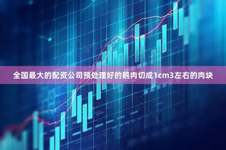 全国最大的配资公司预处理好的鹅肉切成1cm3左右的肉块