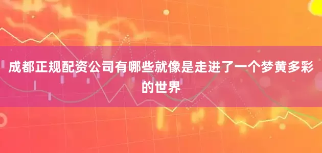 成都正规配资公司有哪些就像是走进了一个梦黄多彩的世界